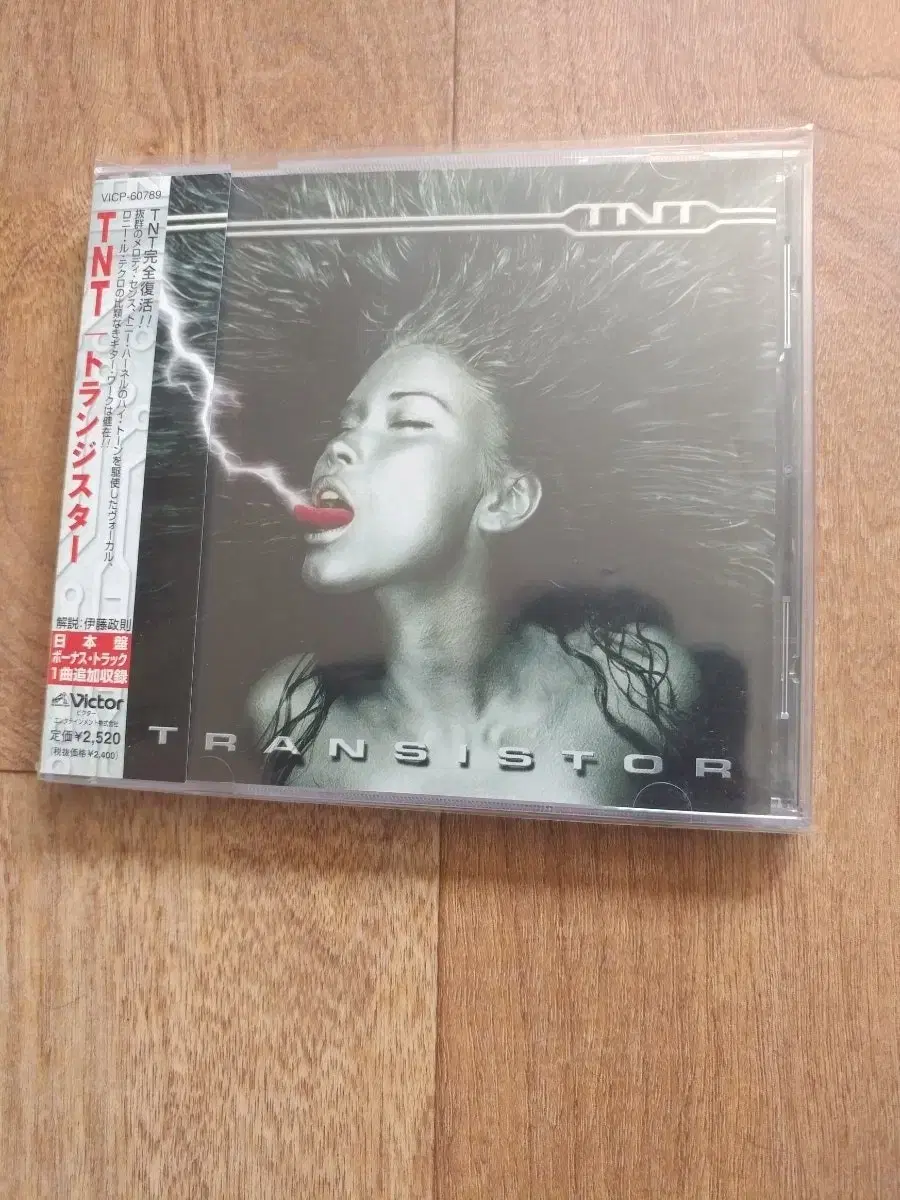 tnt cd 일본반 시디