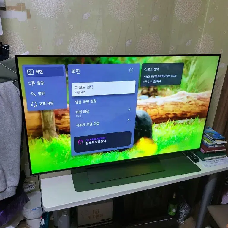 LG 올레드 48인치 evo OLED TV (24년 제품)