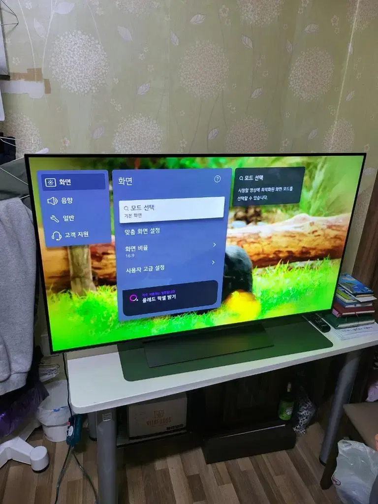 LG 올레드 48인치 evo OLED TV (24년 제품)