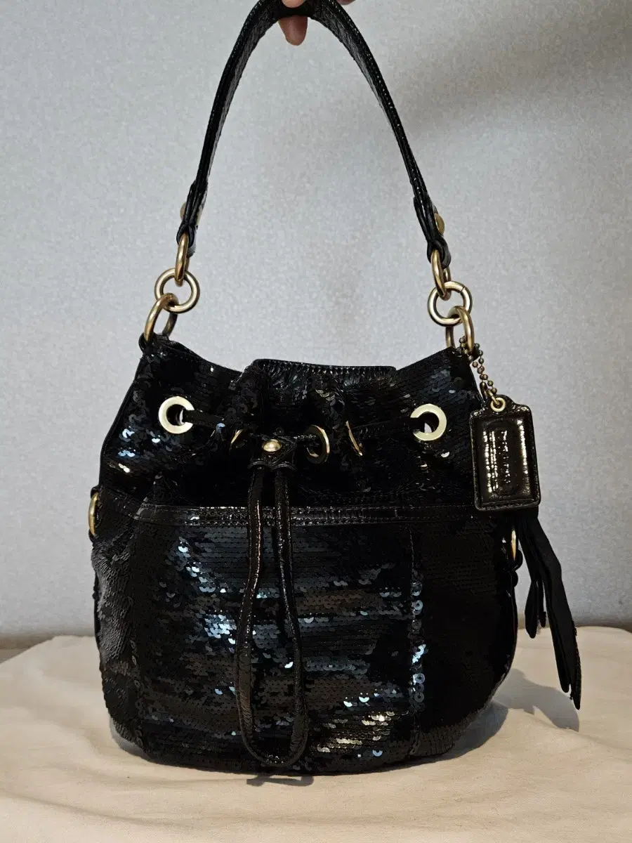 Coach Bag (Limited Edition Black Sequins)