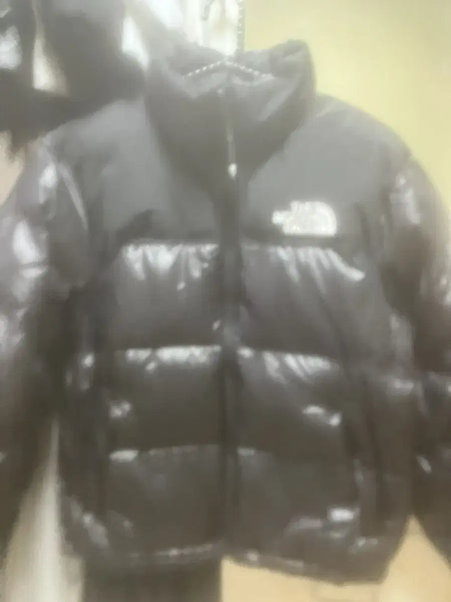 (Genuine) The North Face Men's and Women's Noosh Onball Jacket Black