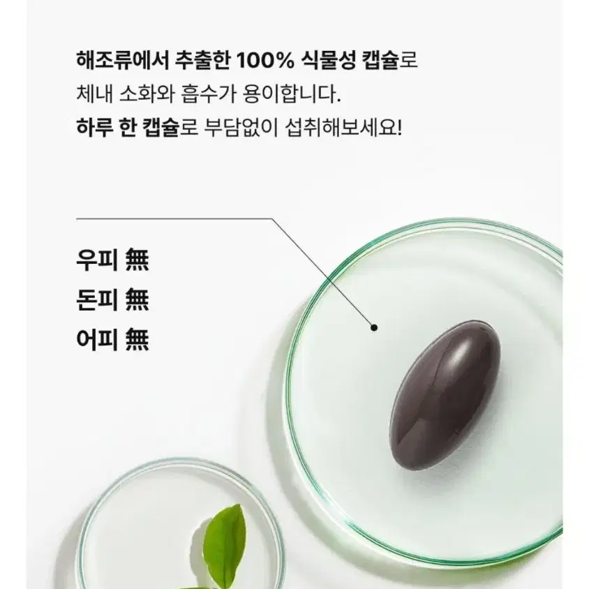 뉴트리원 루테인지아잔틴164 gr 최신상