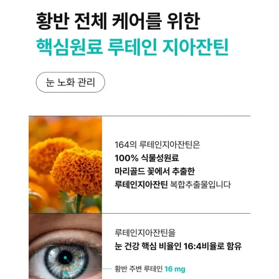 뉴트리원 루테인지아잔틴164 gr 최신상