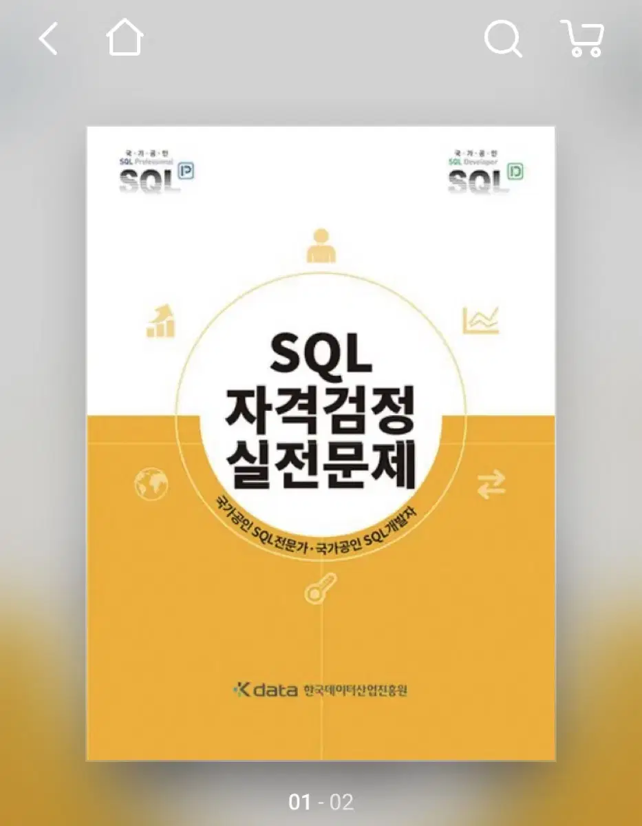 sqld 노랭이 최신 개정판