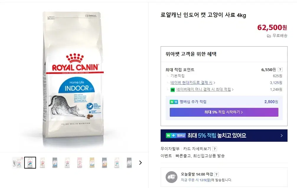 로얄캐닌 캣 인도어 4KG