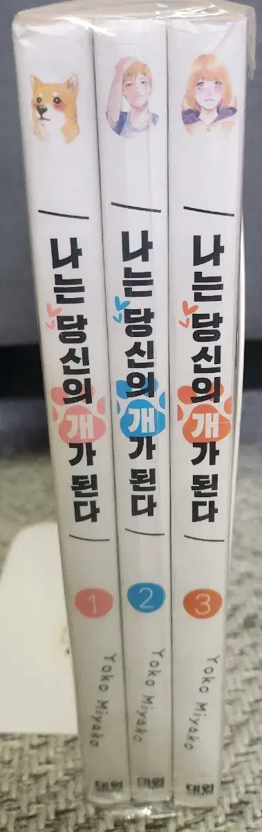 나는 당신의 개가 된다 만화책