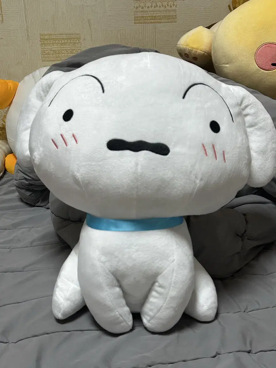 짱구는 못말려 흰둥이 초대형인형 (약40cm)