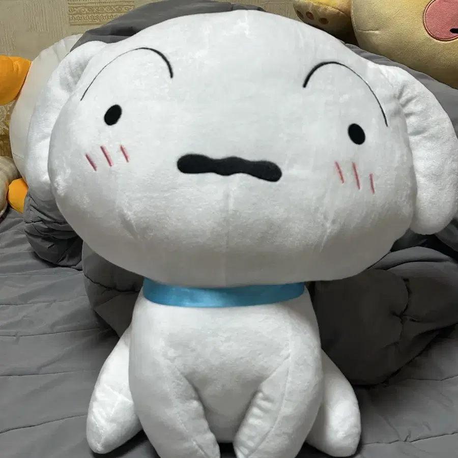 짱구는 못말려 흰둥이 초대형인형 (약40cm)