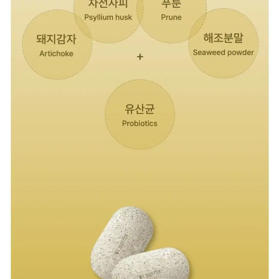 초코 효소