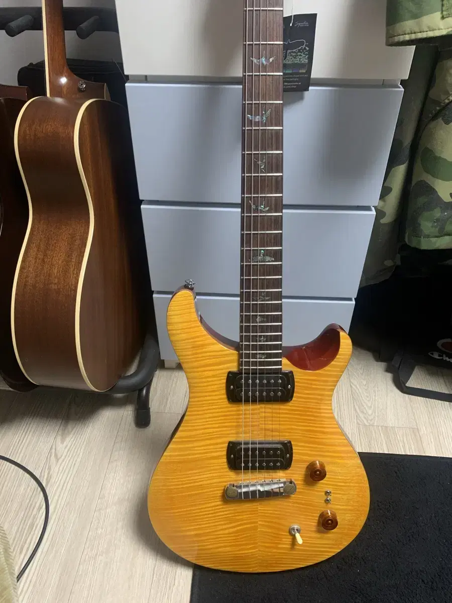 prs se 폴스