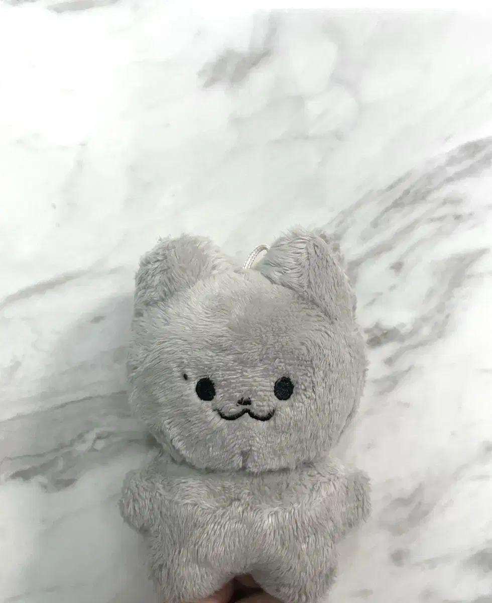 더보이즈 주연 주냥이 인형 양도