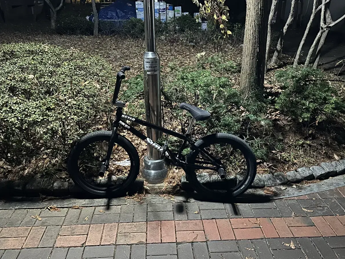 BMX대차