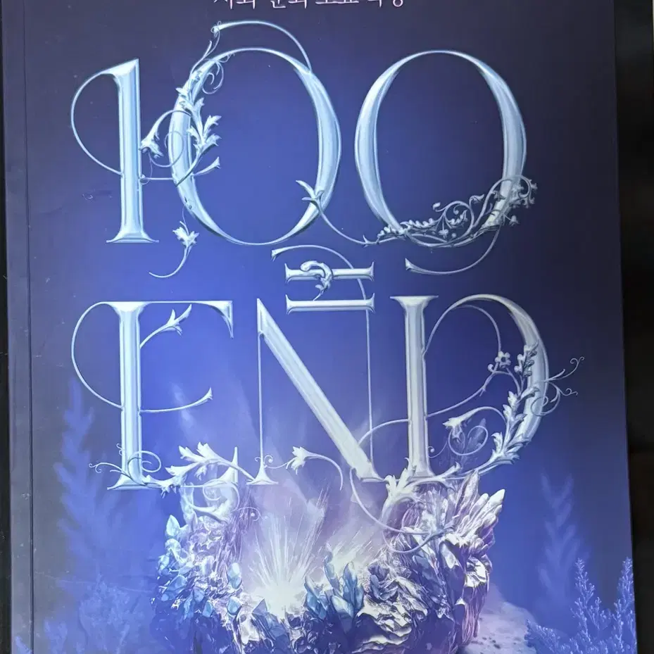 2025 수능 임정환 100end