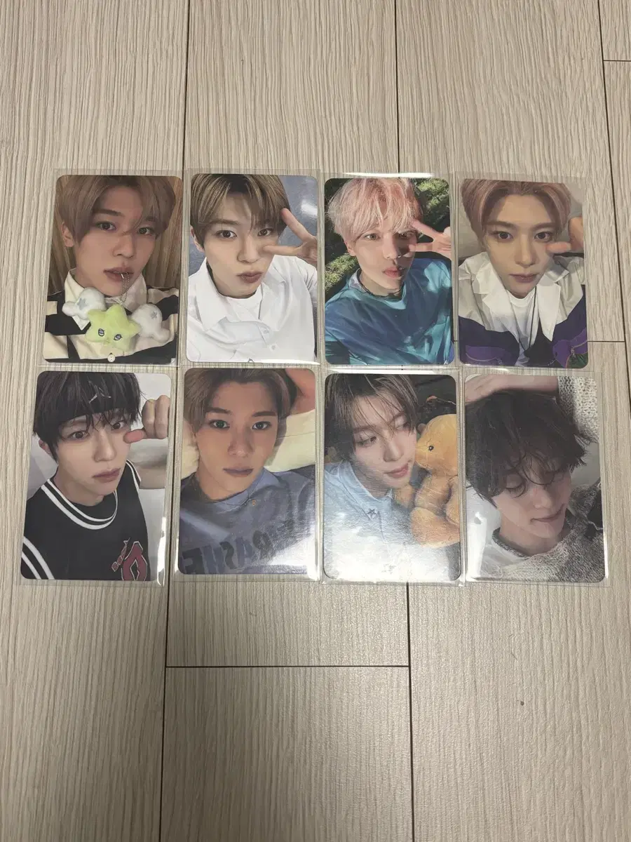 NCT Wish sion Songbird Steady Wichu Photocard