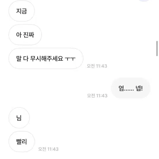 텔레토비님 박제