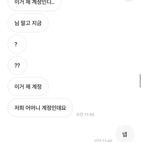 텔레토비님 박제