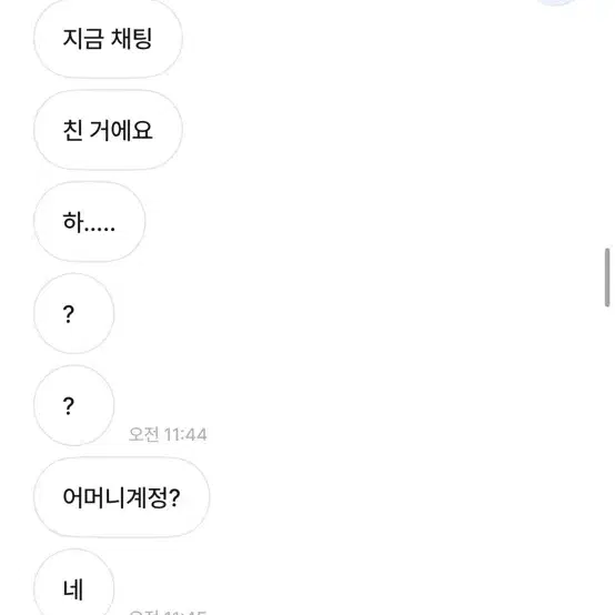 텔레토비님 박제