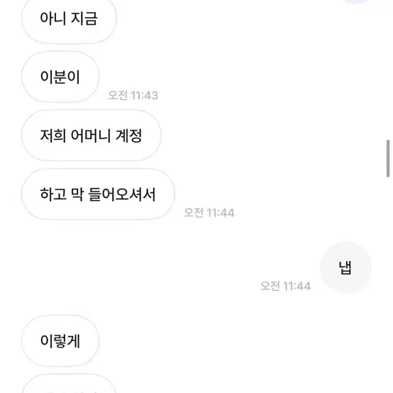 텔레토비님 박제