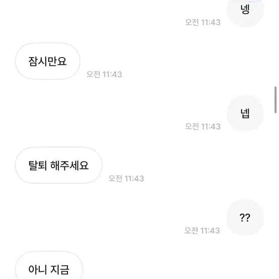 텔레토비님 박제