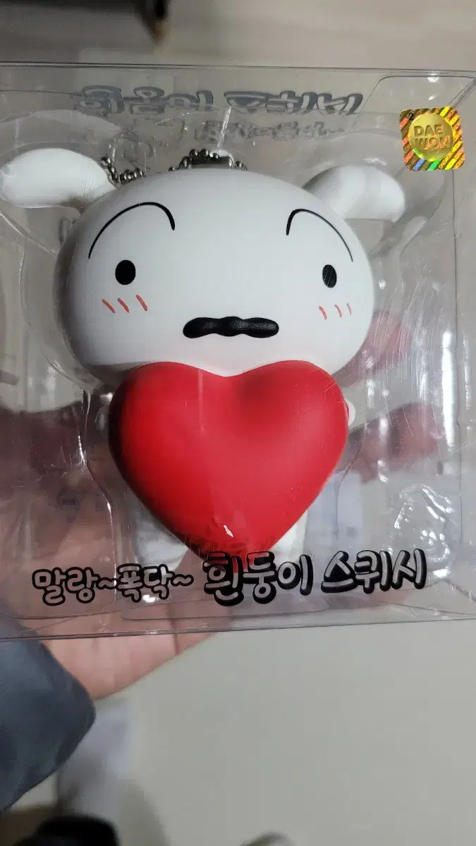 흰둥이 스퀴시