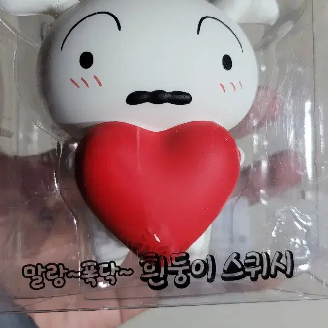 흰둥이 스퀴시