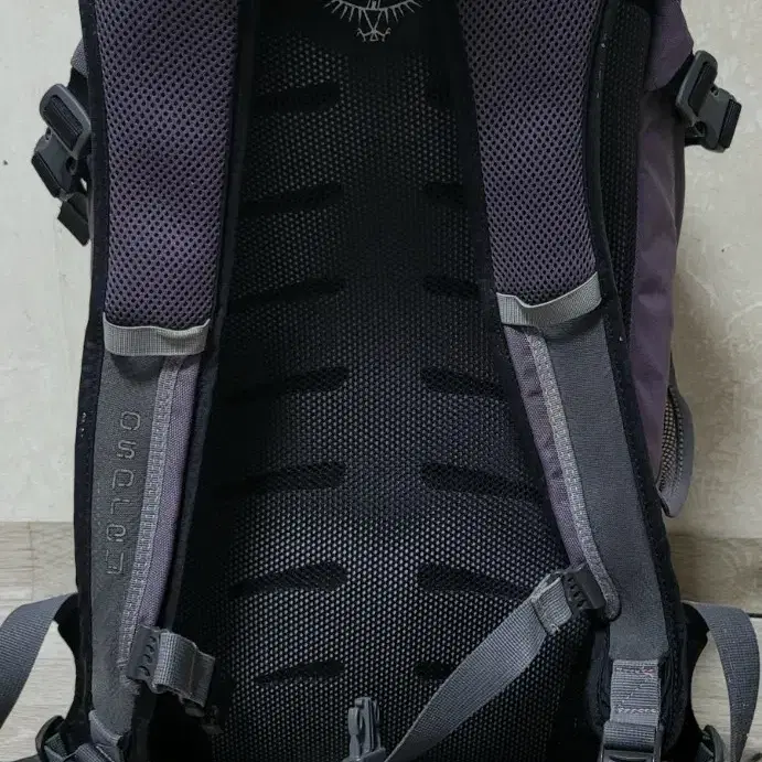 오스프리 OSPREY daylite 등산배낭 여행캠핑백팩 20리터