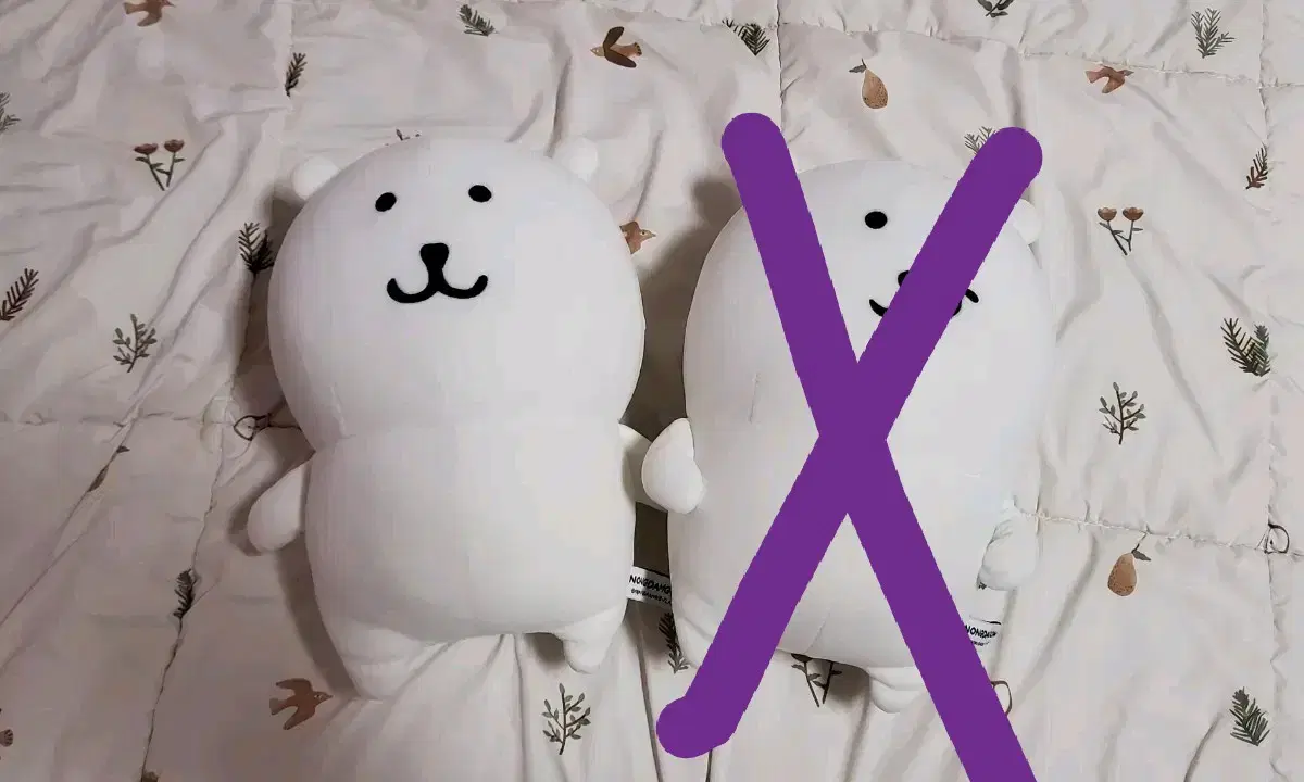 비플랏 농담곰 인형 25센치 기본 / 우쭐