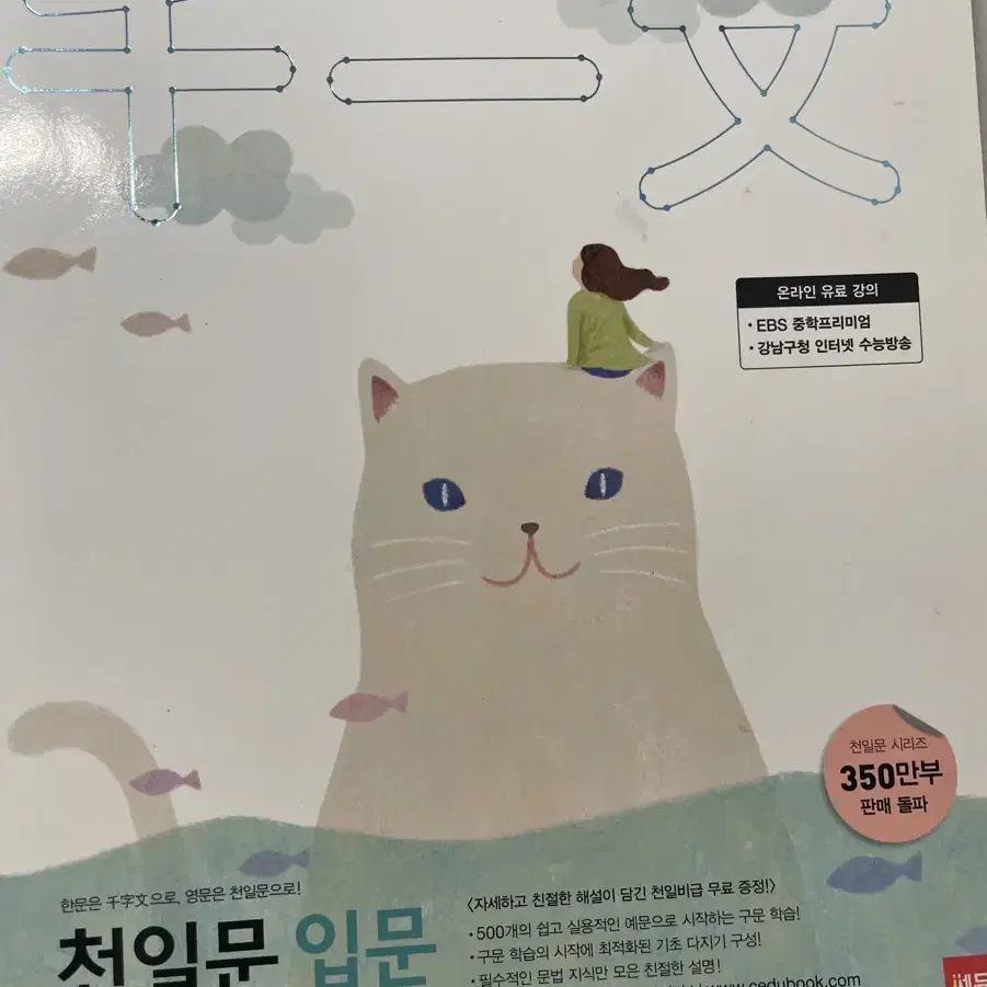 천일문 입문