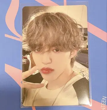 세븐틴 세븐틴 세부치 소비기한 캐럿판 트레이딩 카드 에스쿱스