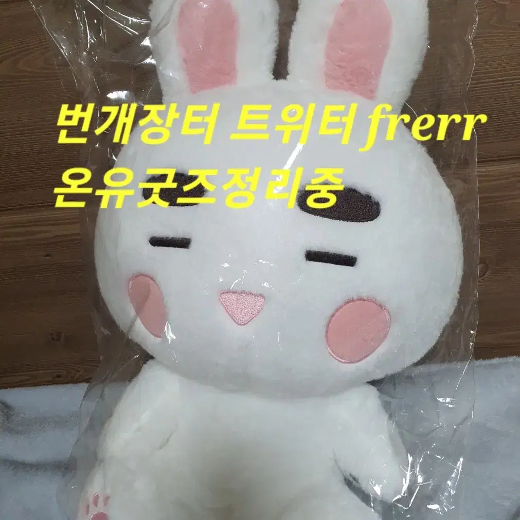 온유 찡구왕 40cm 10cm 인형 굿즈 일괄