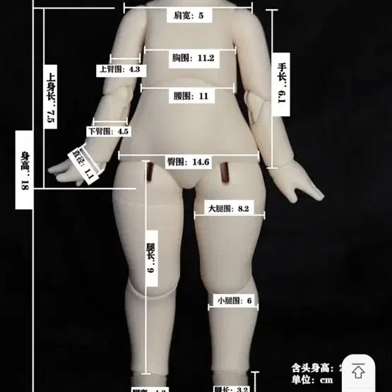 Guardlove사 미백 숏usd 바디