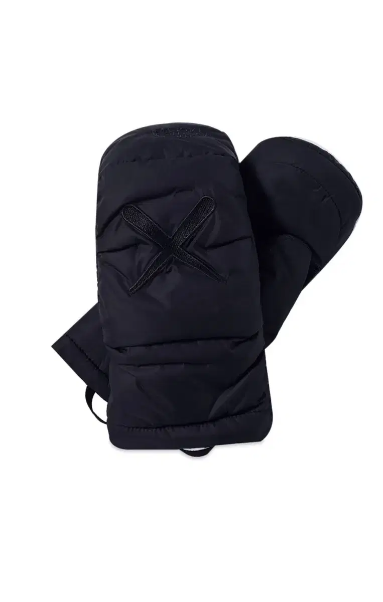 Northface x KAWS 장갑