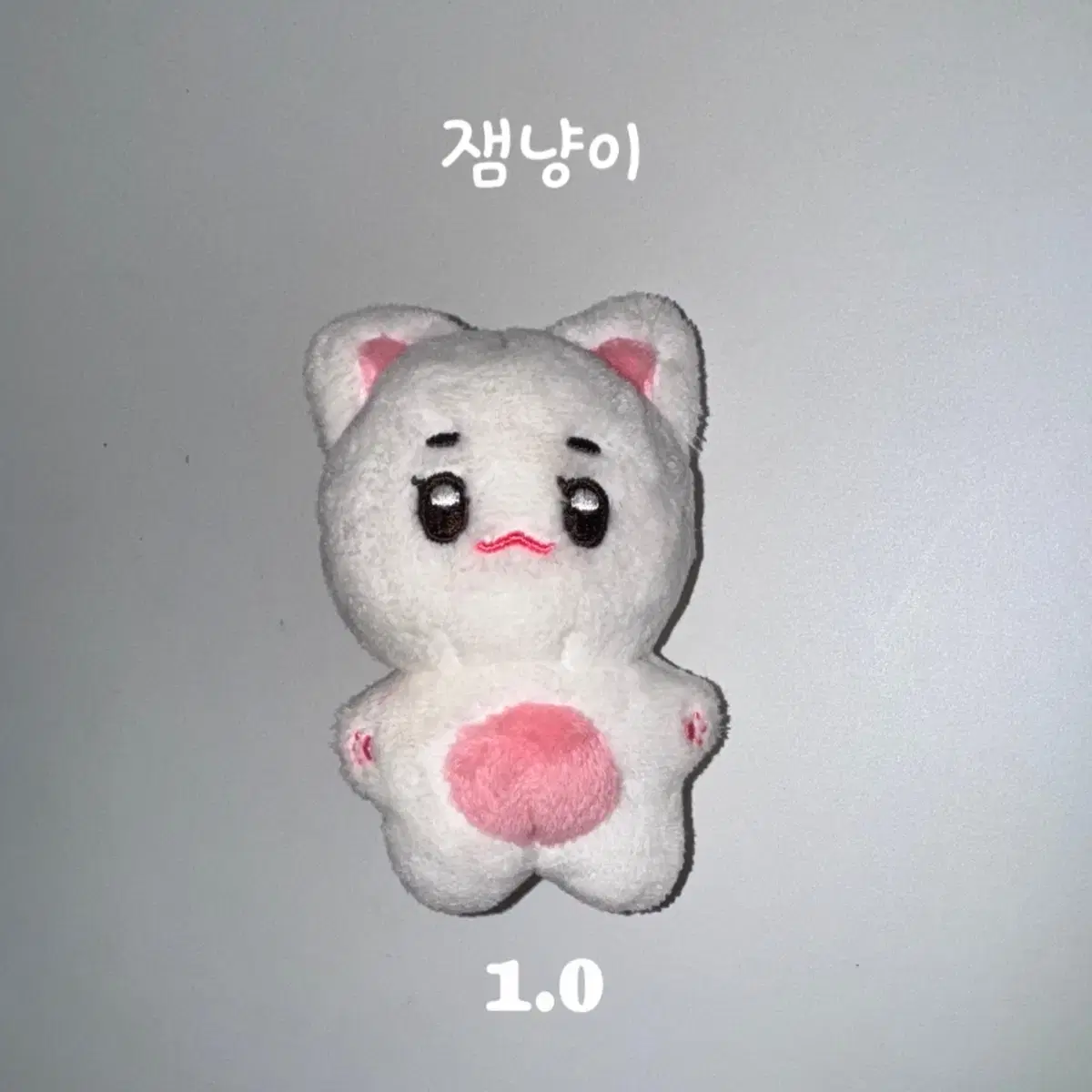 엔시티 재민 인형 잼냥이 양도