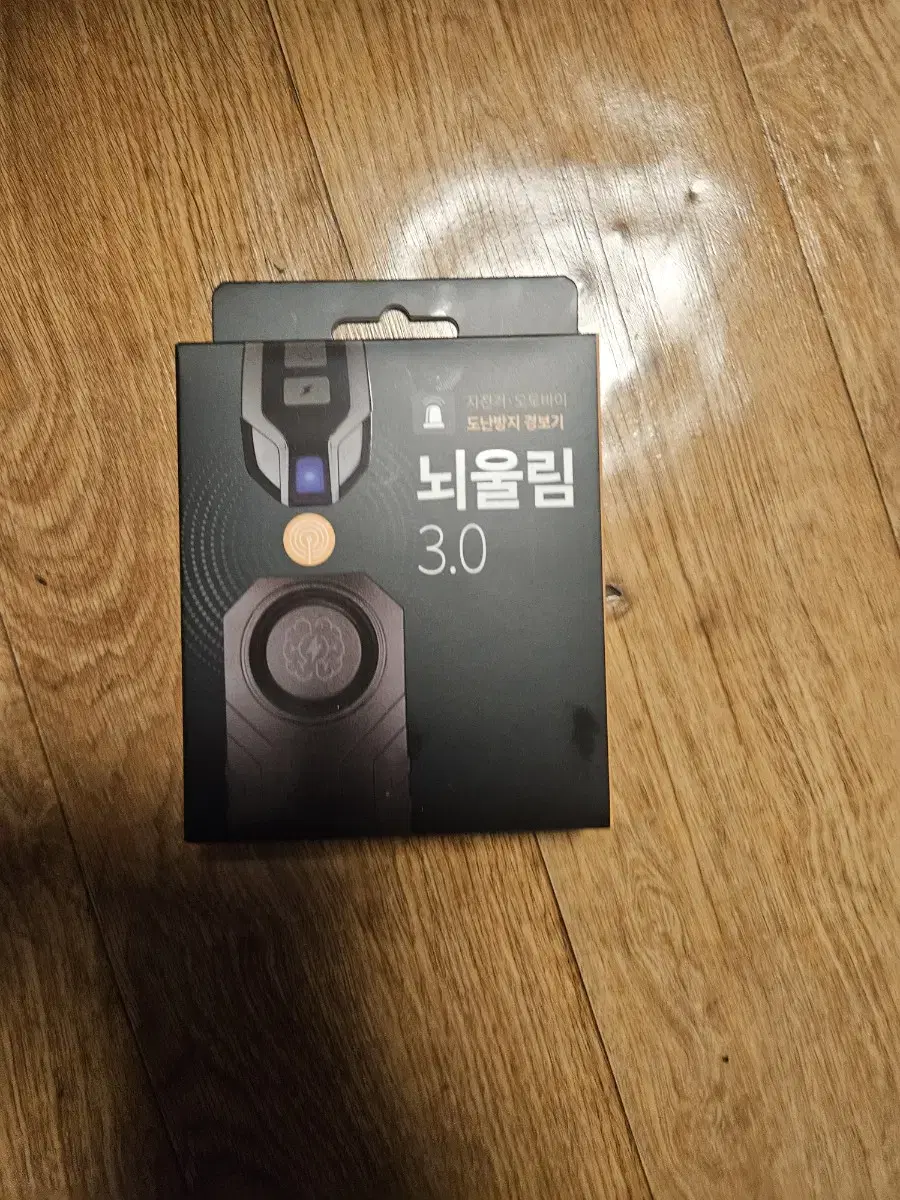 뇌울림 3.0 도난방지기