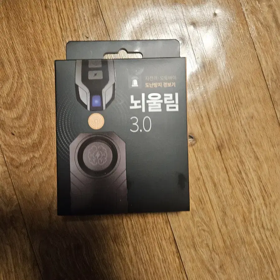 뇌울림 3.0 도난방지기