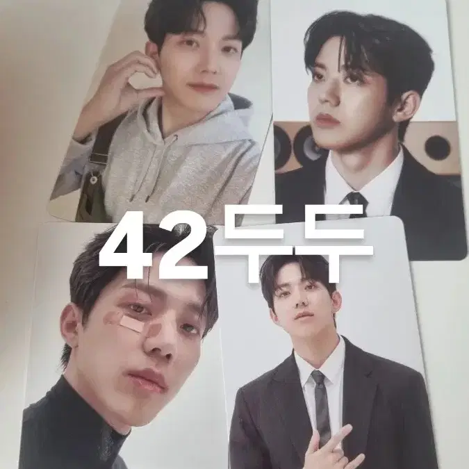 (급처)데니멀즈 24 돈 + 도운 포카 4장 일괄