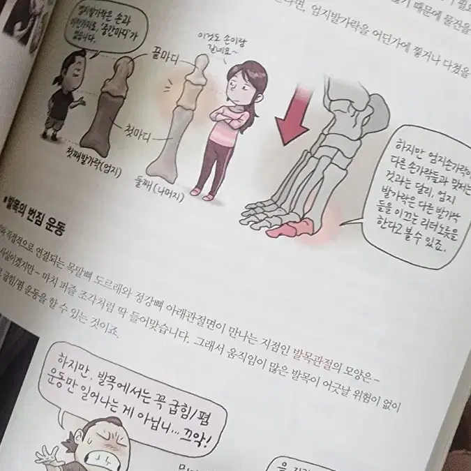 석가의 해부학 [무료배송]