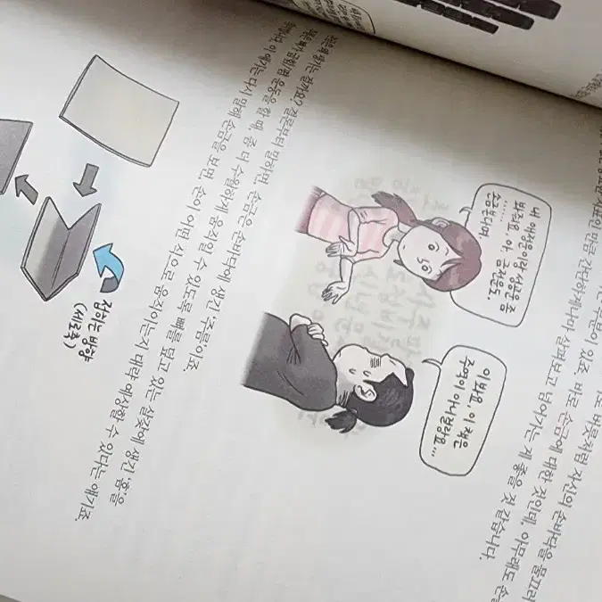 석가의 해부학 [무료배송]