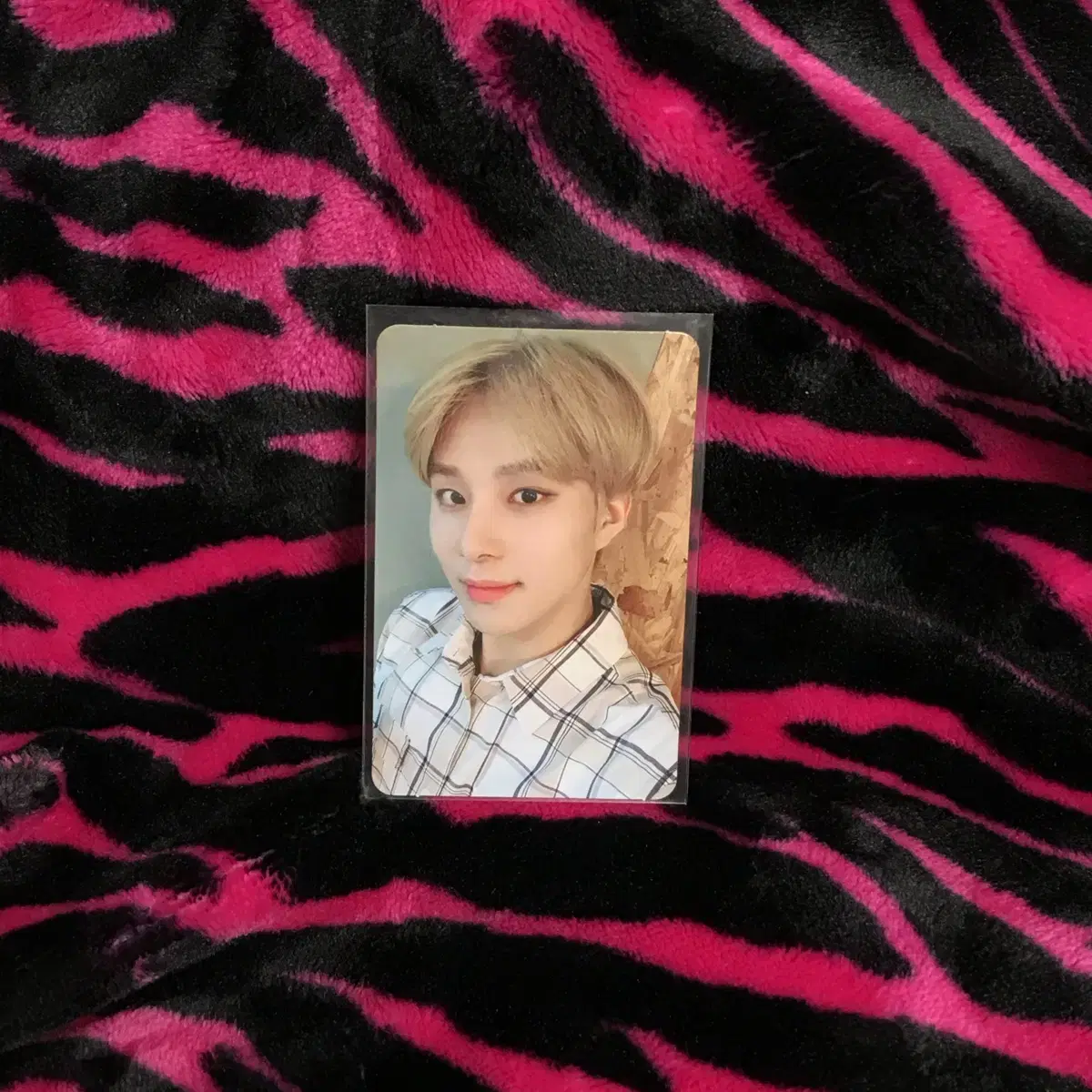 Super Dormant Jungwoo photocard WTS