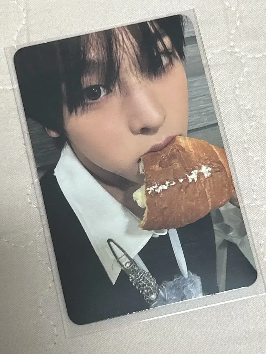 Enwish Steady Salt Bread riku photocard