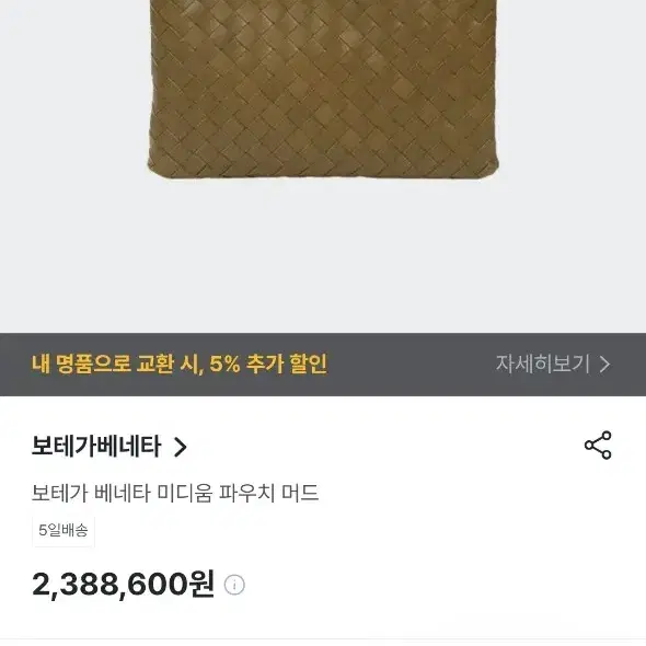 보테가베네타클러치백 라지