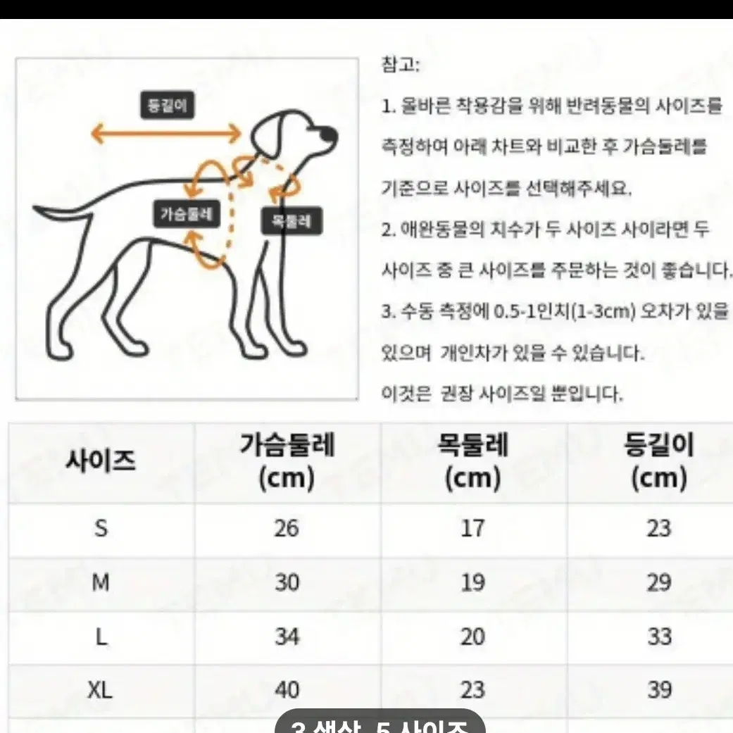 애견아디다스나시티