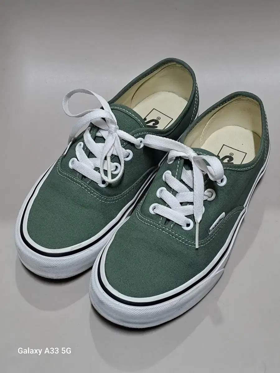 반스 클래식 어센틱 Vans Authentic 덕 그린  (230)