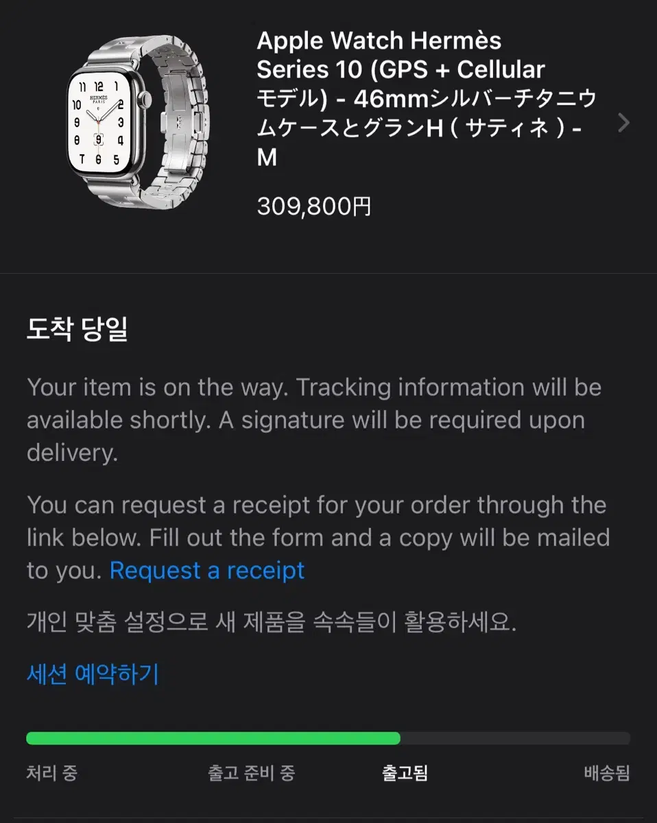 애플워치 10 에르메스 사티네 46mm M사이즈