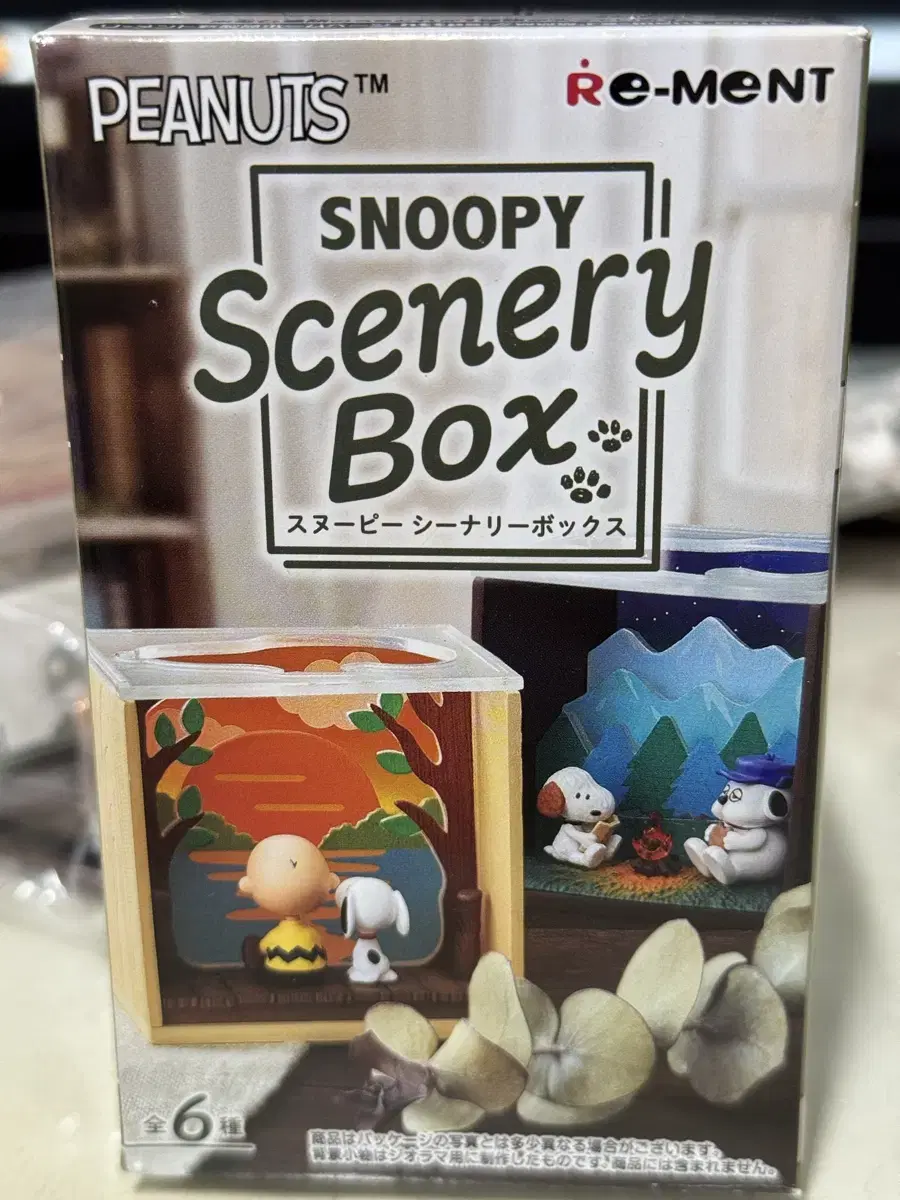 (Unsealed) Snoopy's Serious Box Rement No. 6