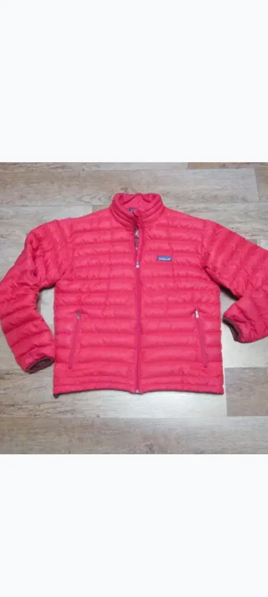 Patagonia Lightweight Padding Men's #100