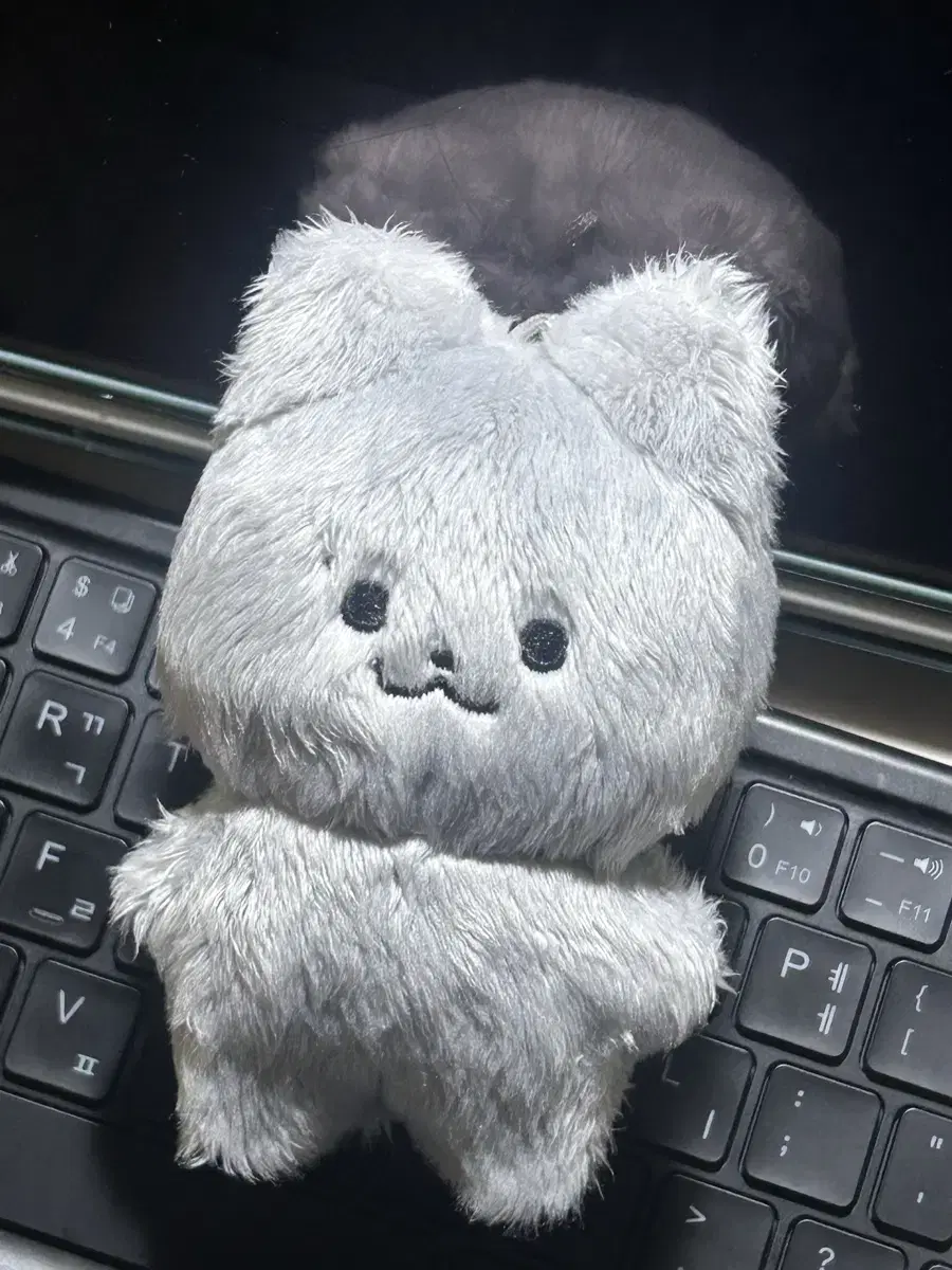 더보이즈 주연 인형 쥬냥이 쥬냥