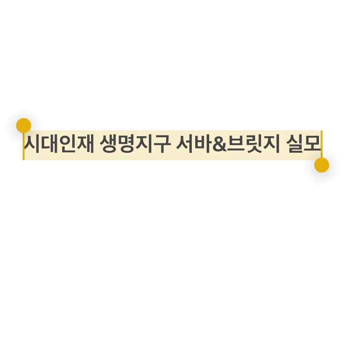 시대인재 생명&지구 브릿지 서바 실모 판매 시대컨 에눌가능