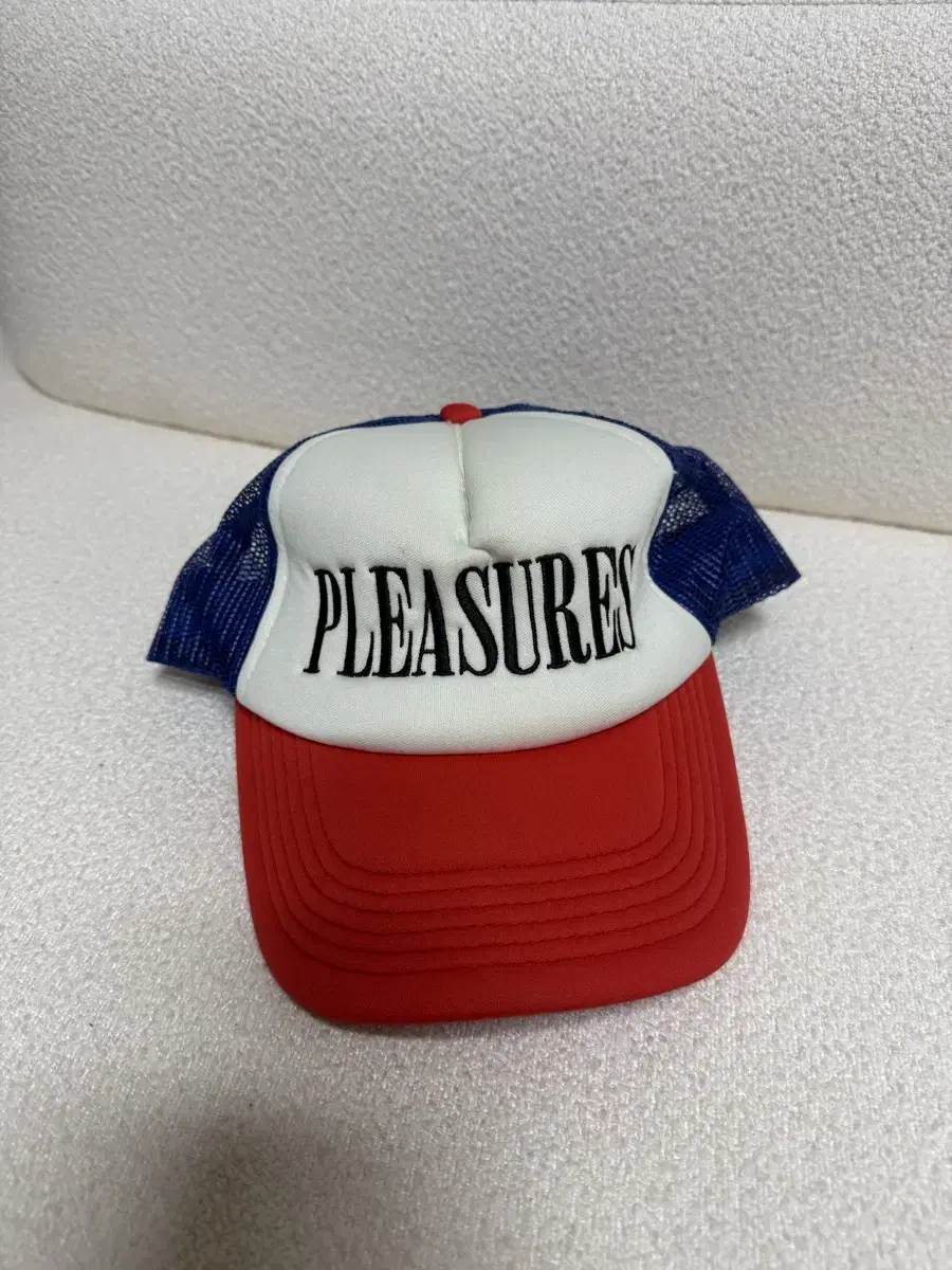 Pleasures 매쉬캡