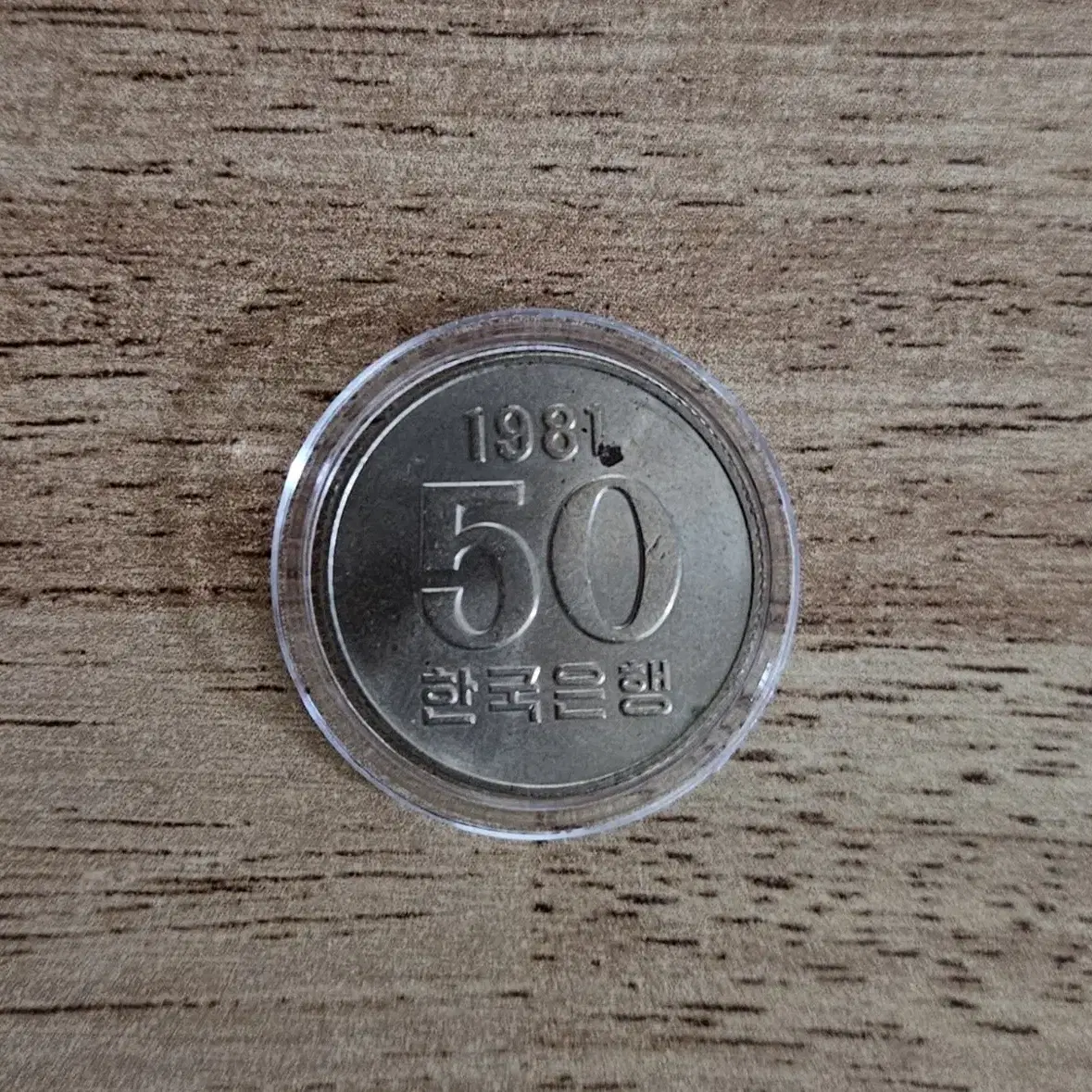 1981년 50원 동전.주화